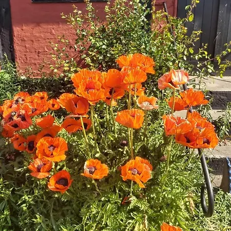 Bolshavnvej5 Bed and breakfast