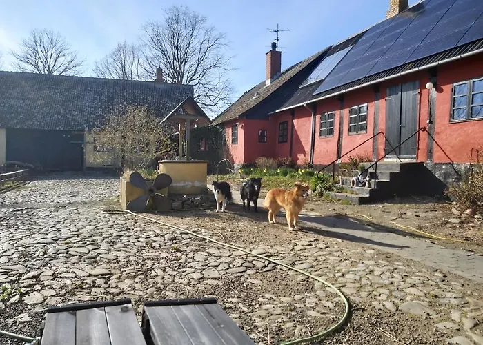 Bolshavnvej5