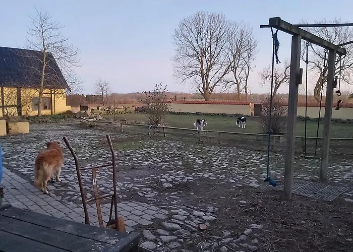 Bolshavnvej5